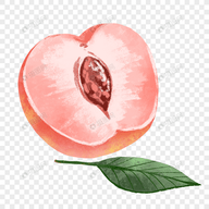 16🍆🍑🔞❌❌❌看片APP应用