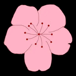 WWW,411se·COM网站APP