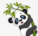 飞球直播APP下载APP应用